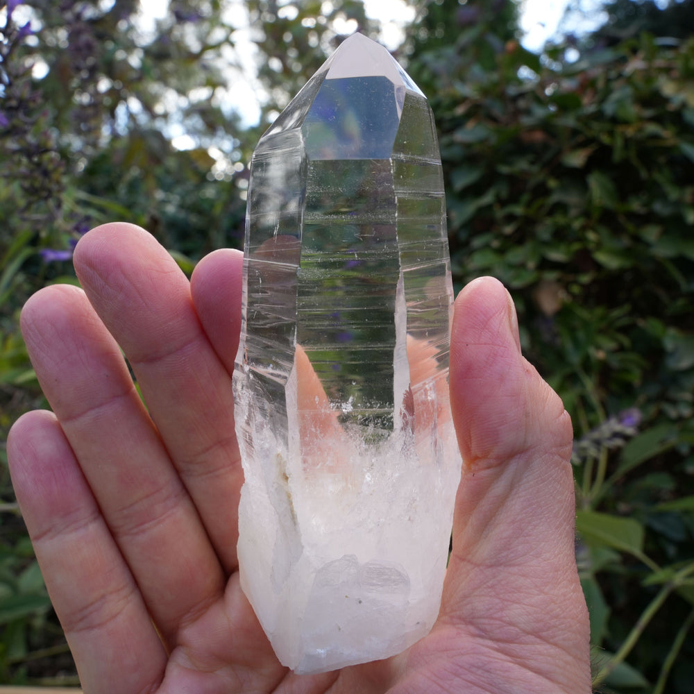 AA+ Grade Star Seed Lemurian Wands | Reiki Infused