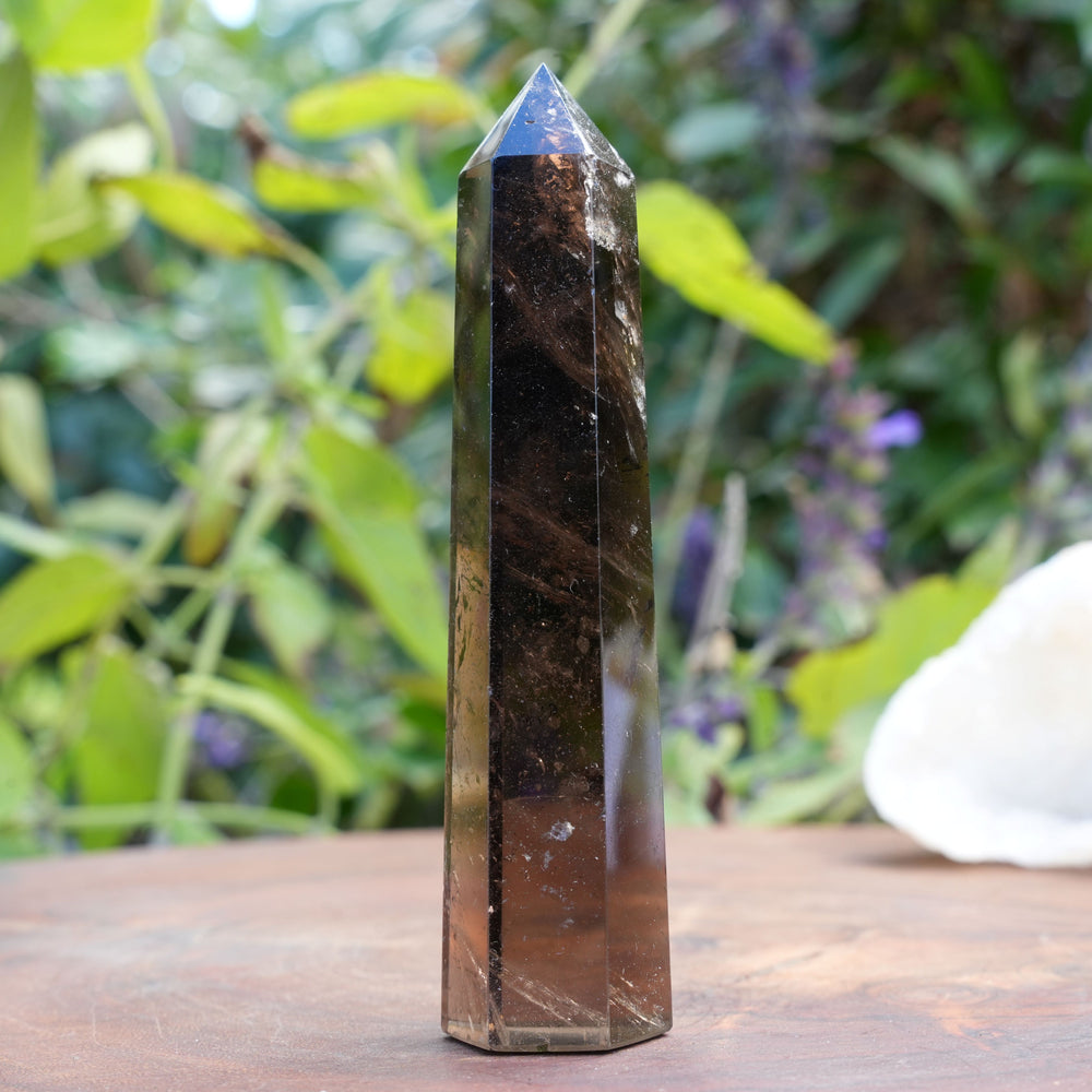 
                  
                    Smoky Quartz Points | Reiki Infused
                  
                