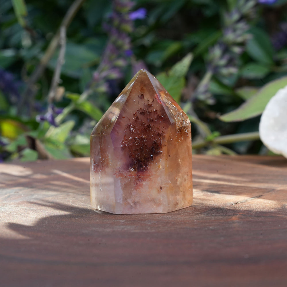 
                  
                    Small Dream Coat Lemurian Freeforms | Reiki Infused
                  
                