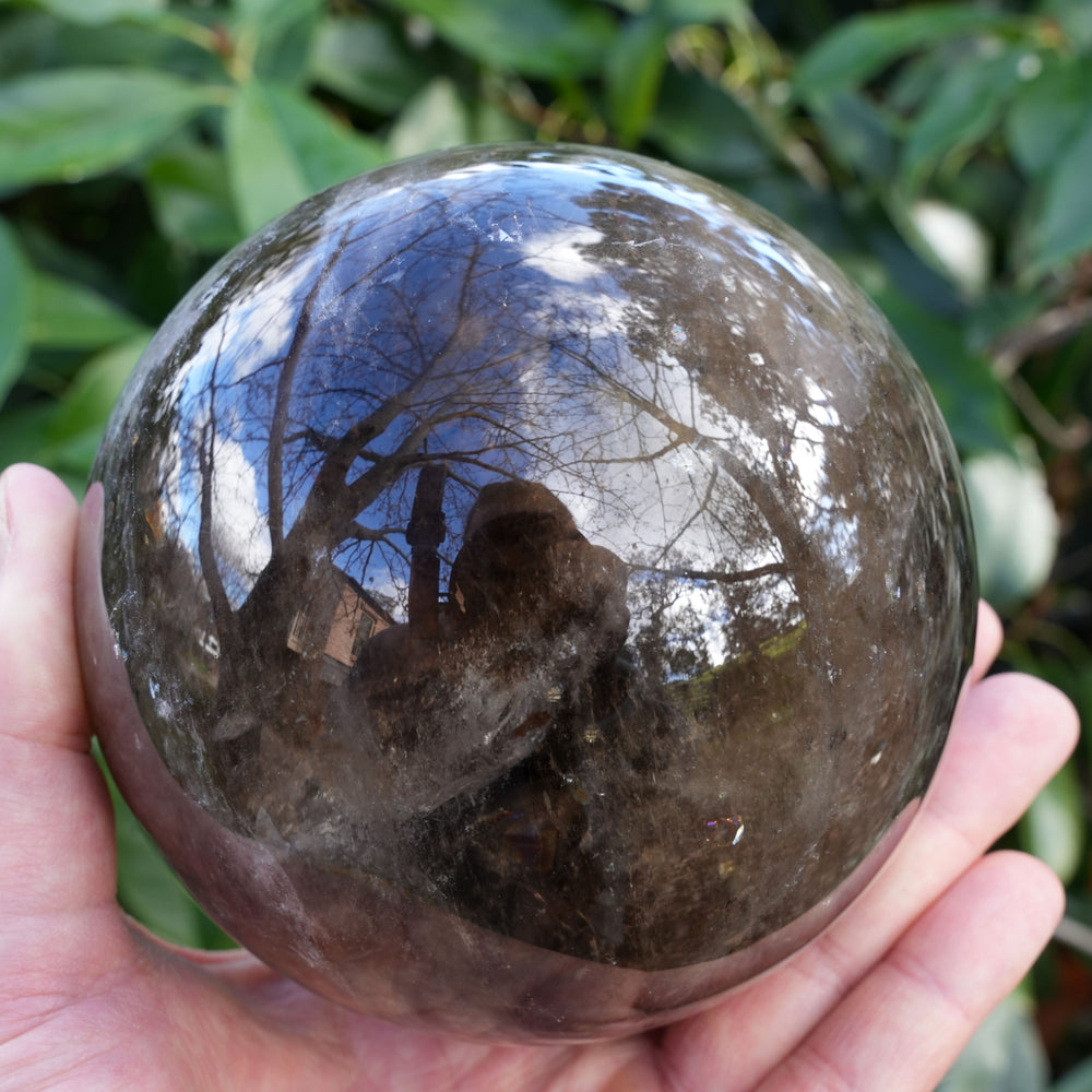 
                  
                    Large Smoky Quartz Sphere on Wooden Holder | Reiki Infused
                  
                