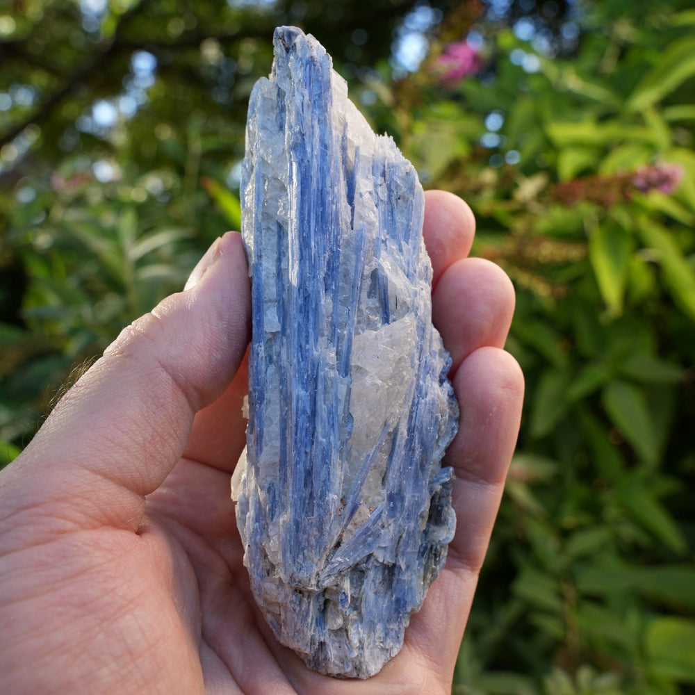 
                  
                    Raw Kyanite in Quartz | High Grade | Reiki Infused
                  
                