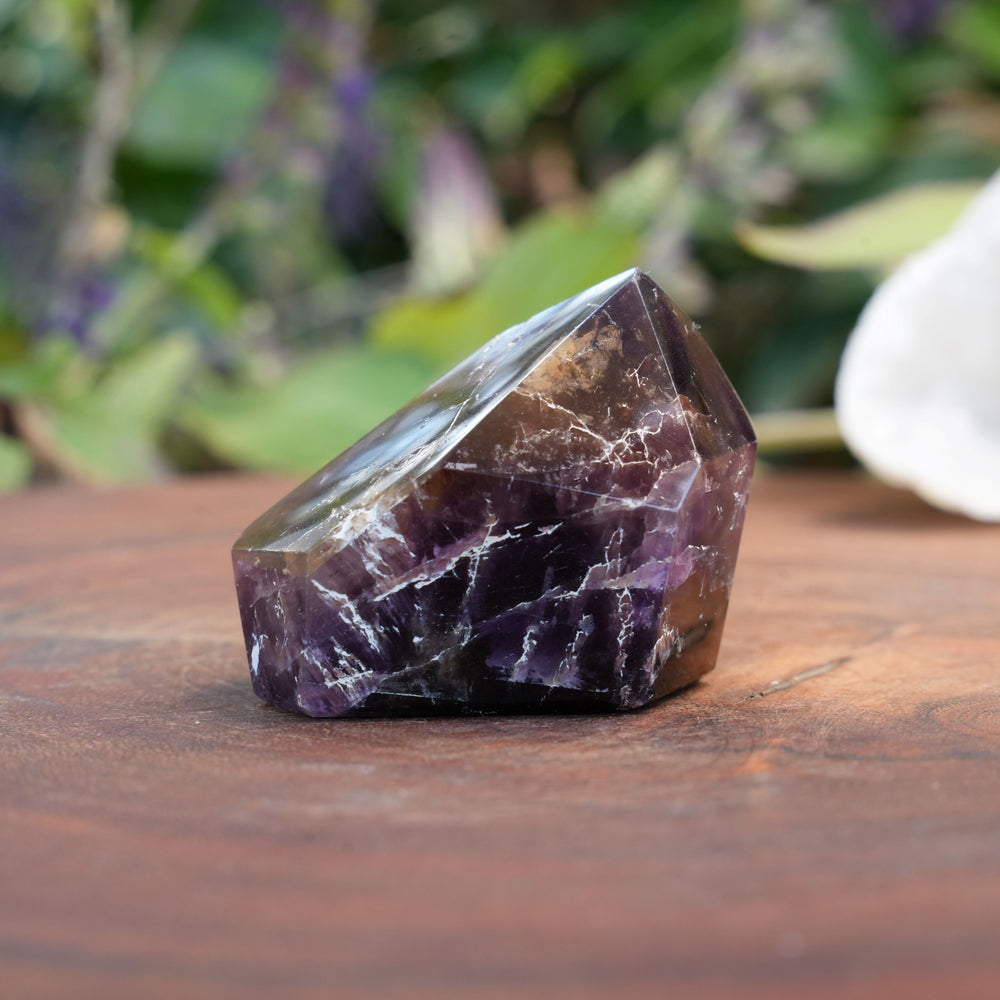 
                  
                    Small Deep Purple Amethyst Dream Coat Lemurian Freeforms | Reiki Infused
                  
                