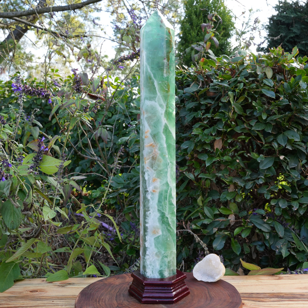 
                  
                    Enormous Ocean Fluorite Tower on Stand | Reiki Infused
                  
                