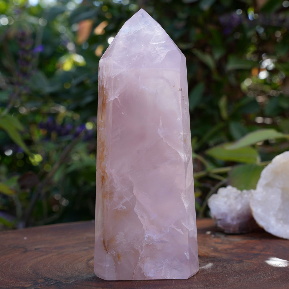 
                  
                    High Grade Rose Quartz Girasol Towers | Reiki Infused
                  
                