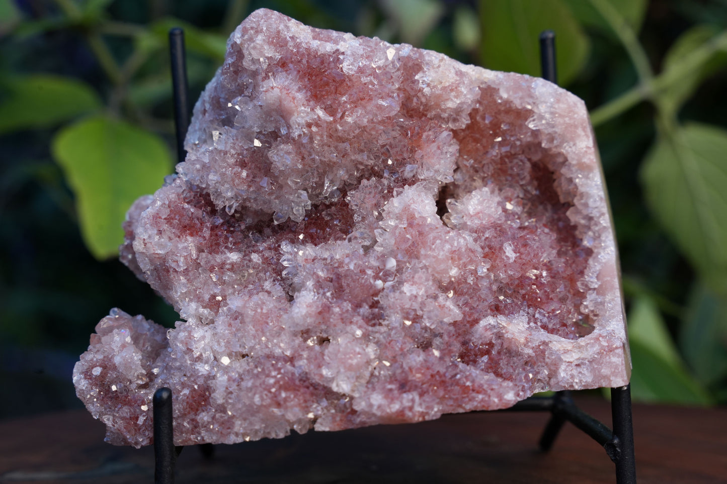 AA Grade Druzy Pink Amethyst Cluster | Reiki Infused
