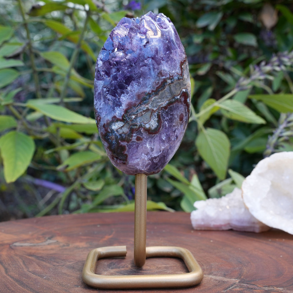
                  
                    High Quality Amethyst Cluster on Stand | Reiki Infused
                  
                