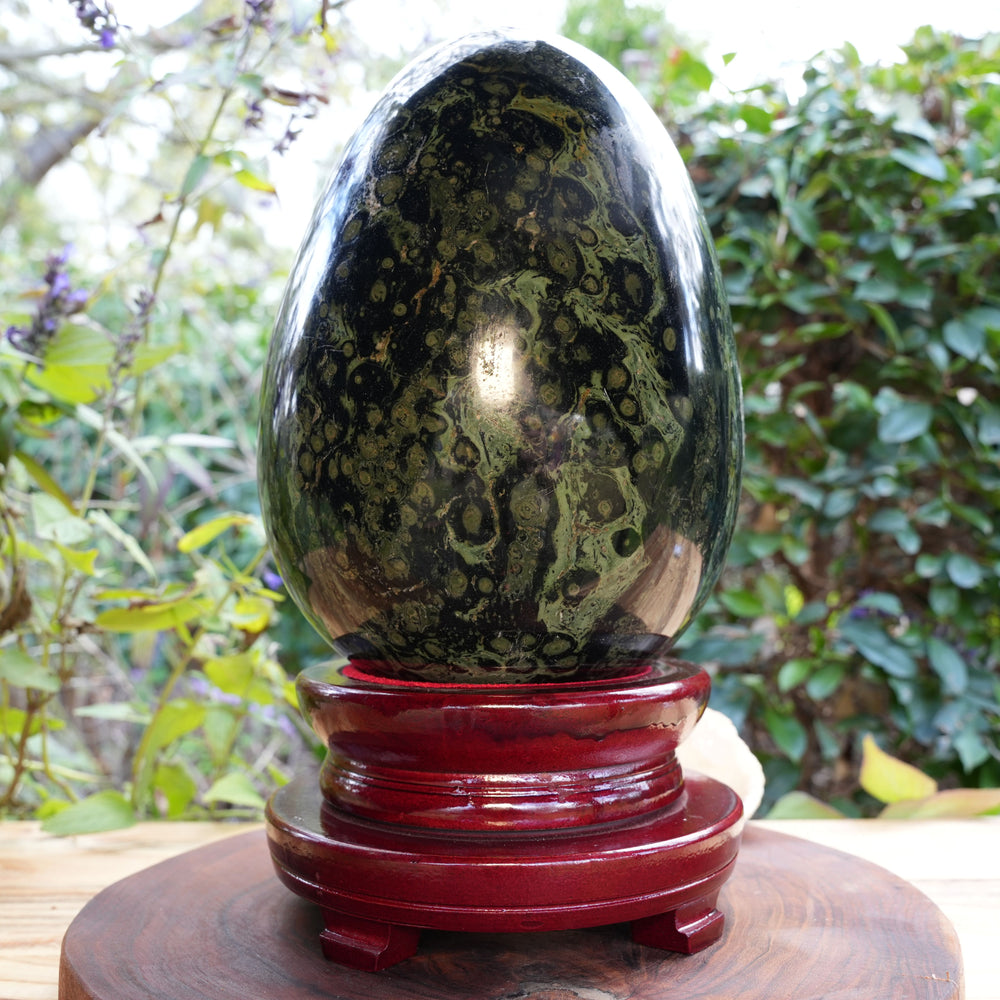 
                  
                    Giant Kambaba Jasper Egg | Reiki Infused
                  
                