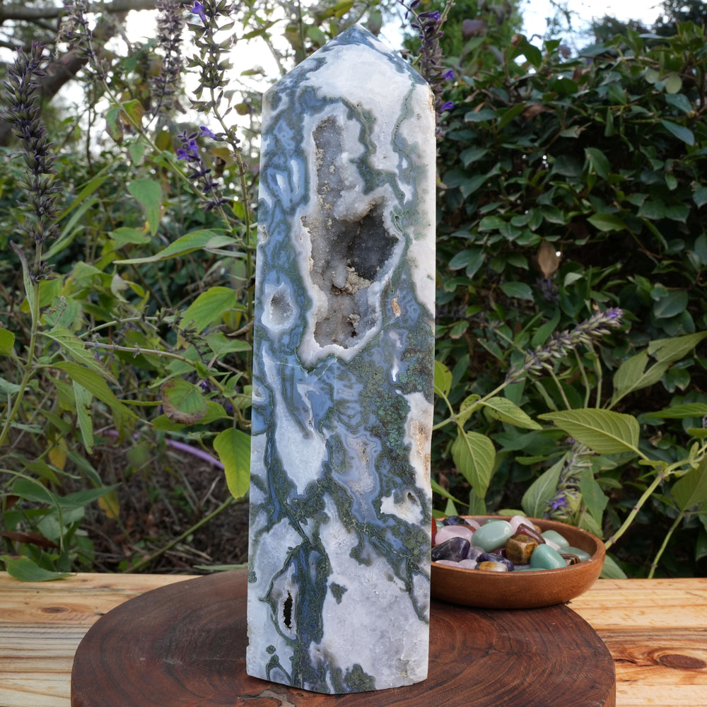 
                  
                    Giant Moss Agate Generator | Reiki Infused
                  
                