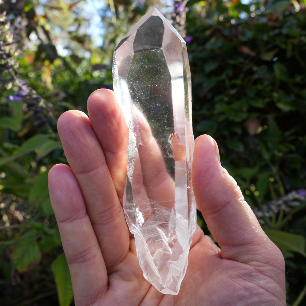 
                  
                    AAA Grade Lemurian Star Seed Quartz Wands | Reiki Infused
                  
                