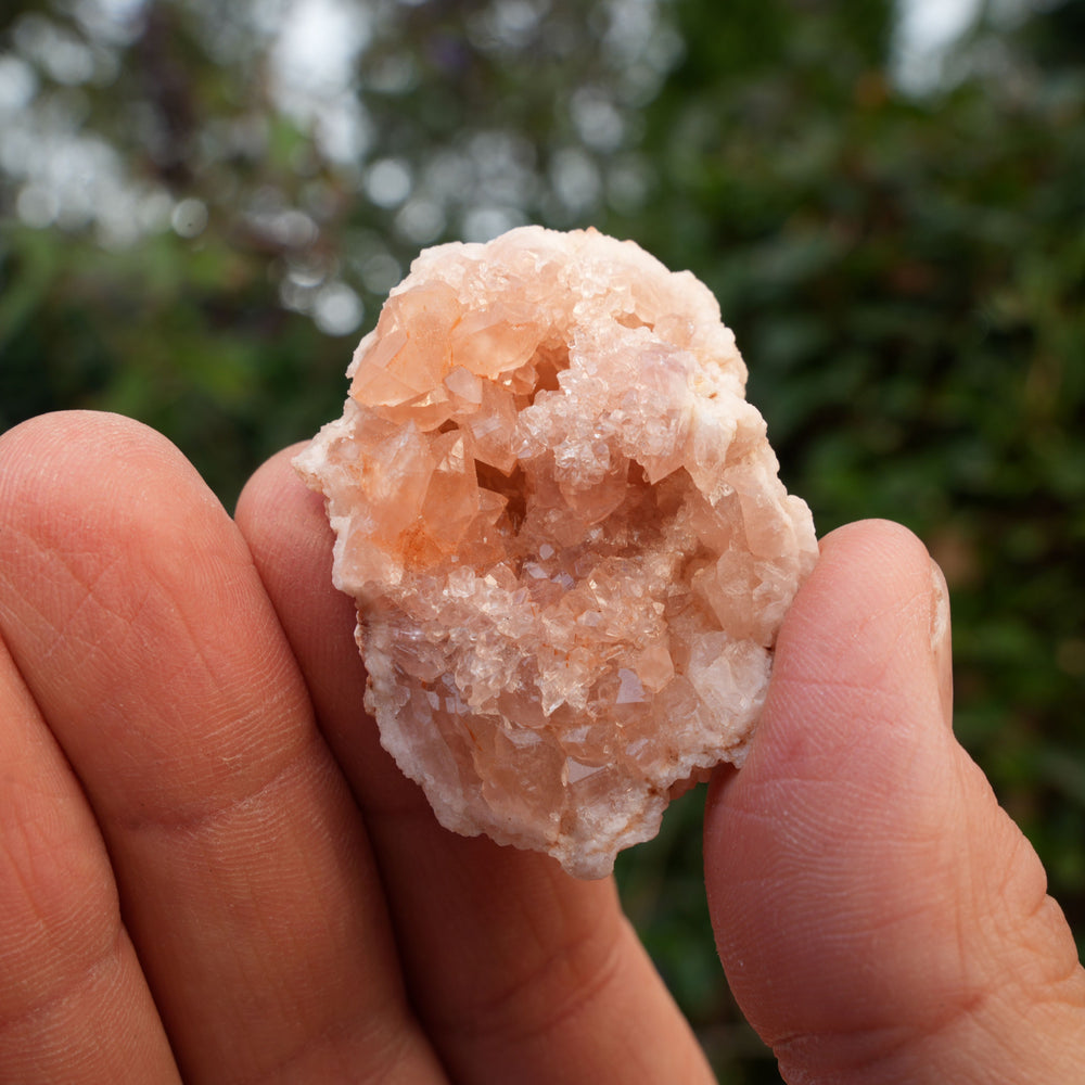 
                  
                    Small Pink Amethyst Clusters | Reiki Infused
                  
                