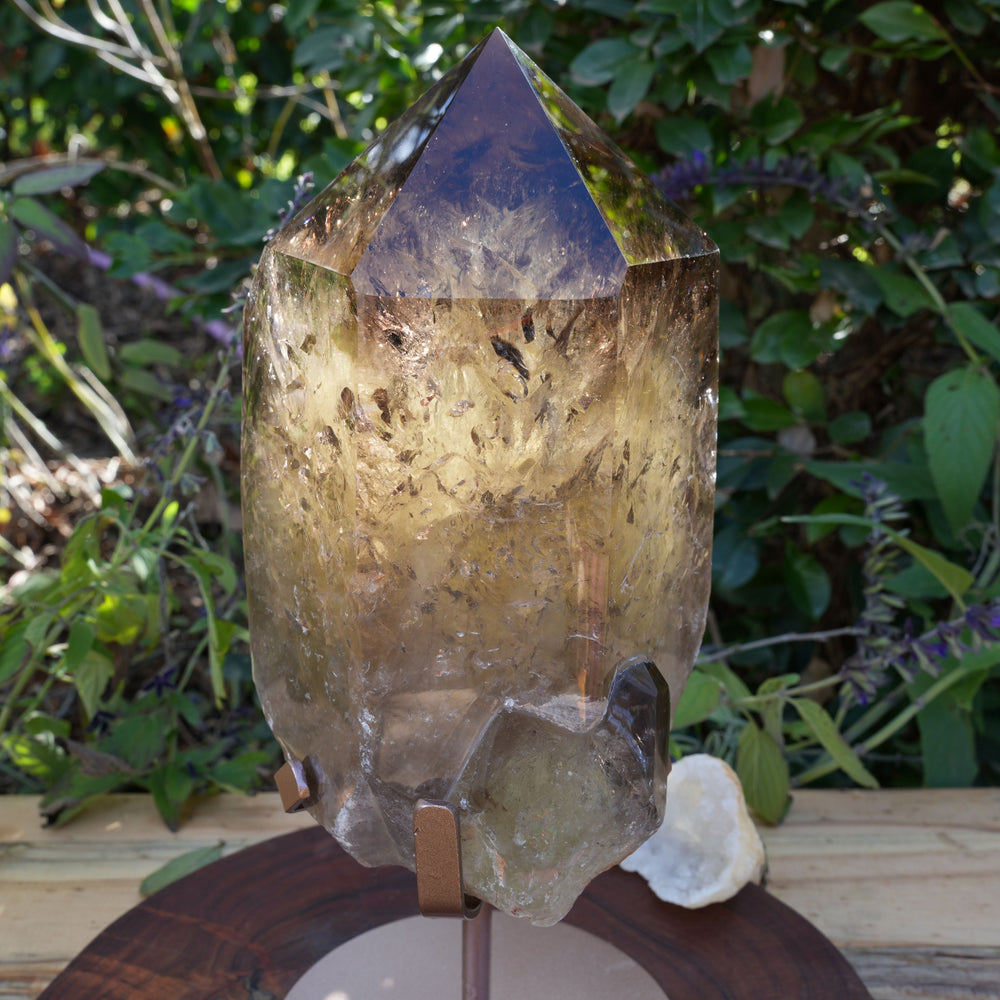 
                  
                    Giant Smoky Natural Citrine Generator | On Rose Gold Stand | Reiki Infused
                  
                