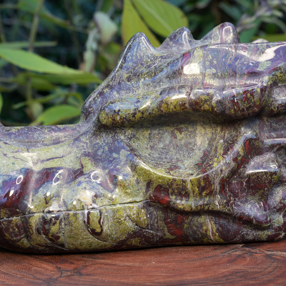 Dragons Blood Jasper Dragon Head | Reiki Infused