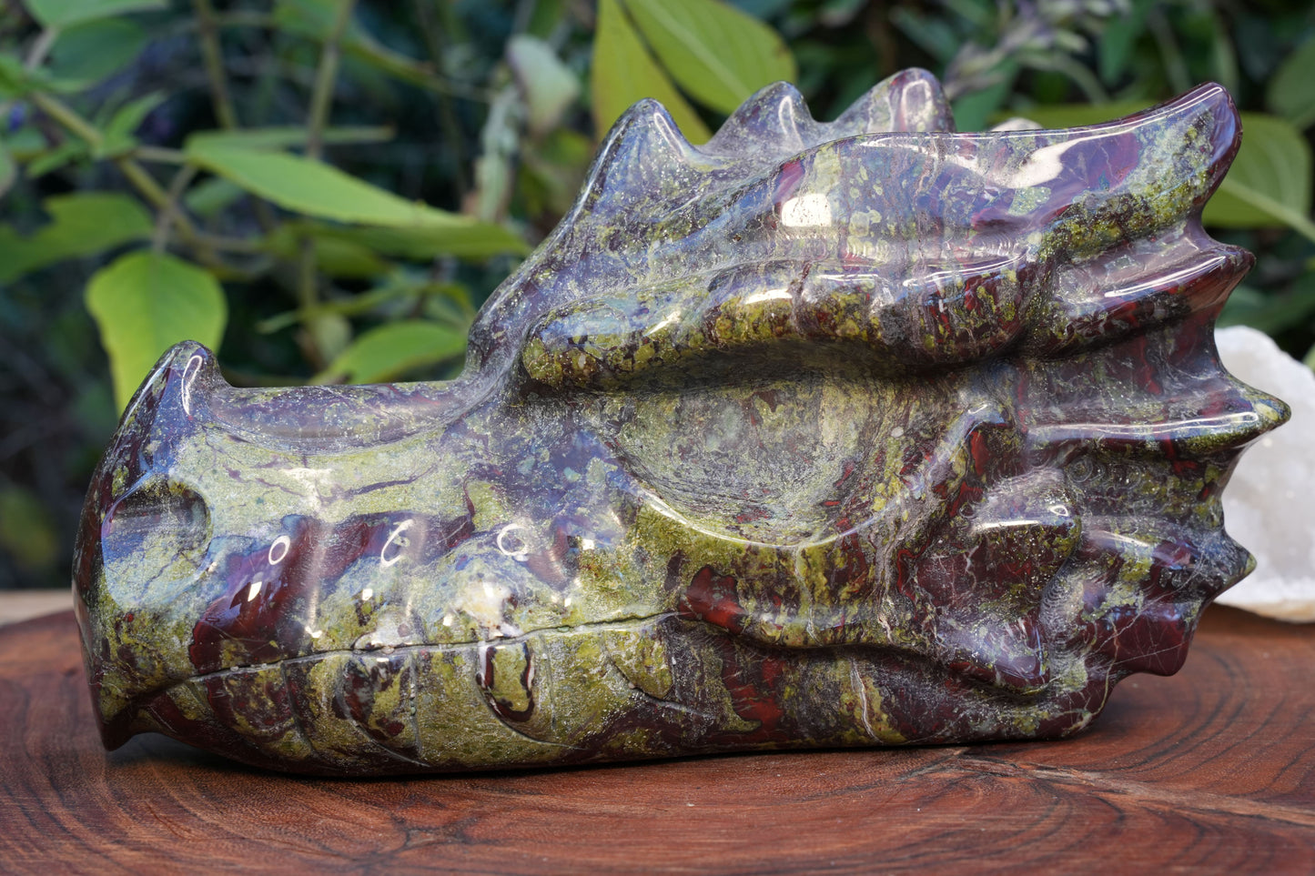 Dragons Blood Jasper Dragon Head | Reiki Infused