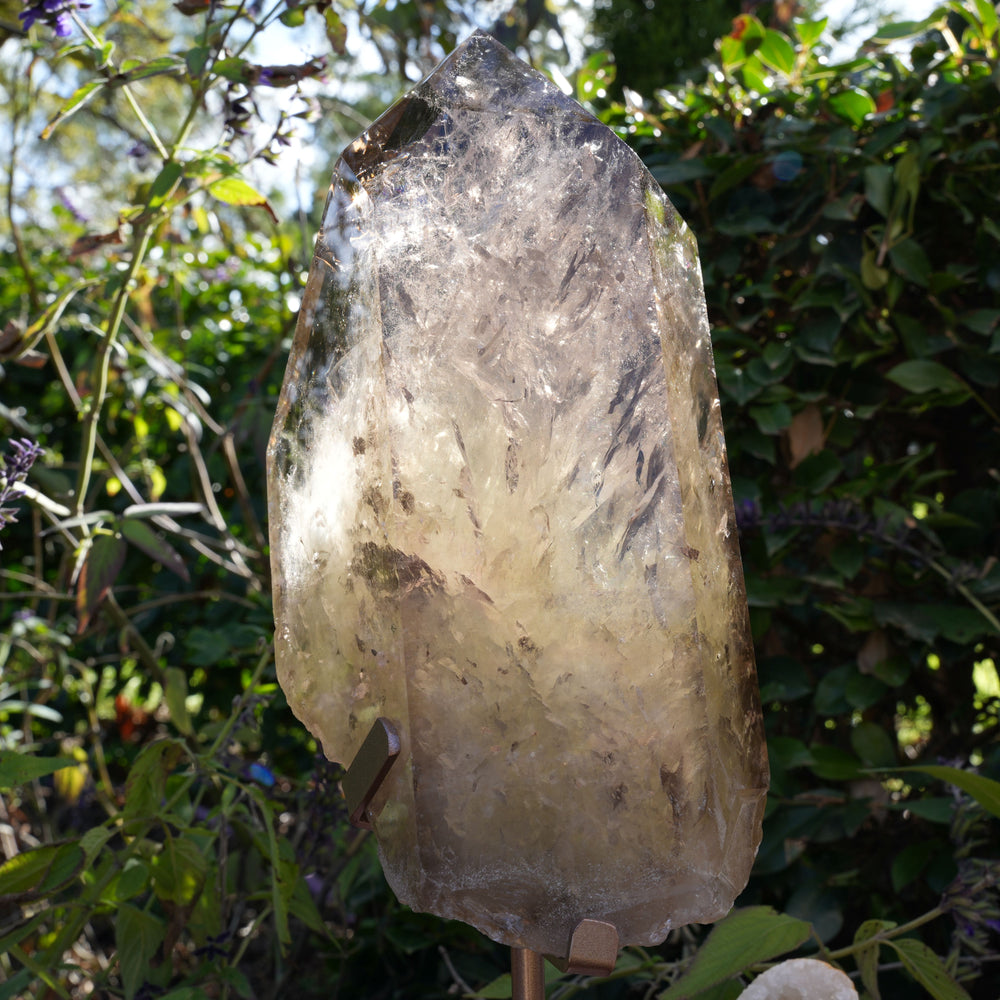 Giant Smoky Natural Citrine Generator | On Rose Gold Stand | Reiki Infused