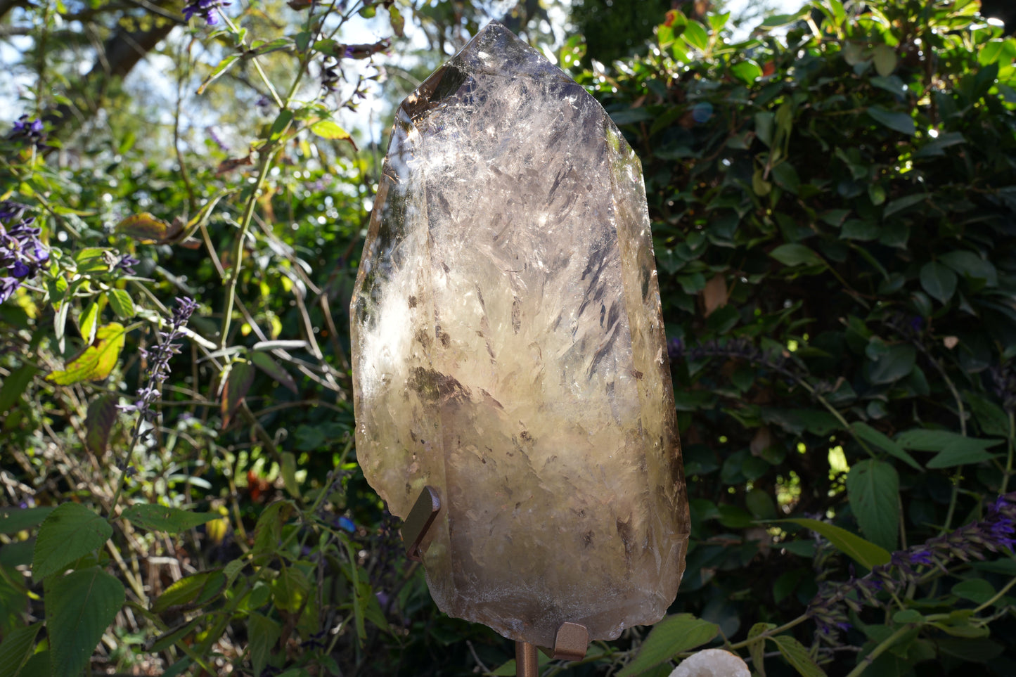 Giant Smoky Natural Citrine Generator | On Rose Gold Stand | Reiki Infused
