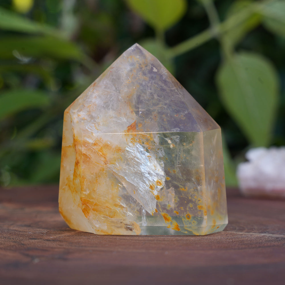 
                  
                    High Grade Golden Healer Points | Reiki Infused
                  
                