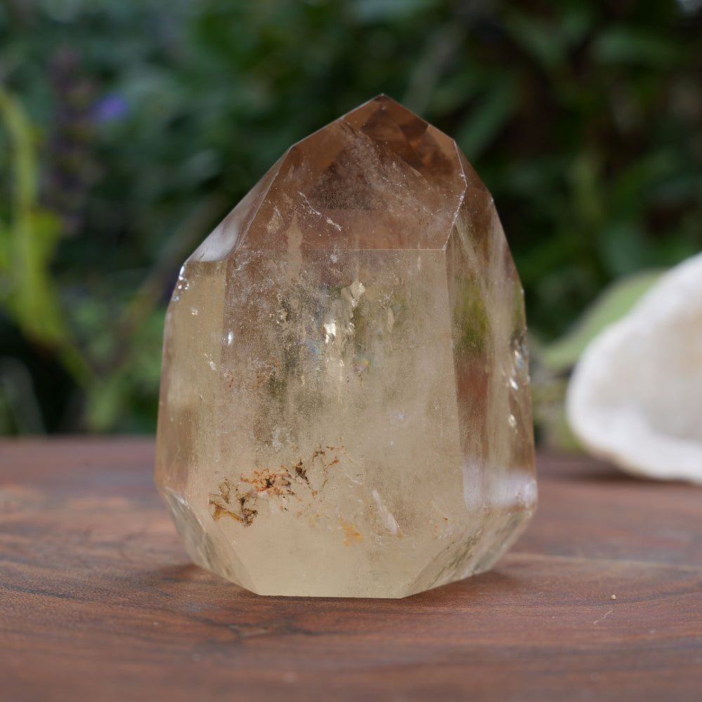 
                  
                    AA+ Grade Natural Citrine Towers | Reiki Infused
                  
                