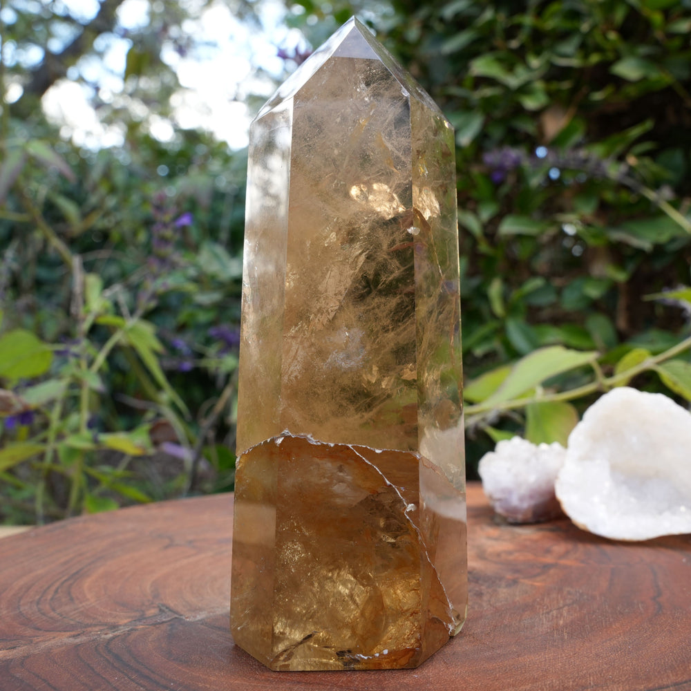 
                  
                    AA Grade Natural Citrine Tower | Reiki Infused
                  
                