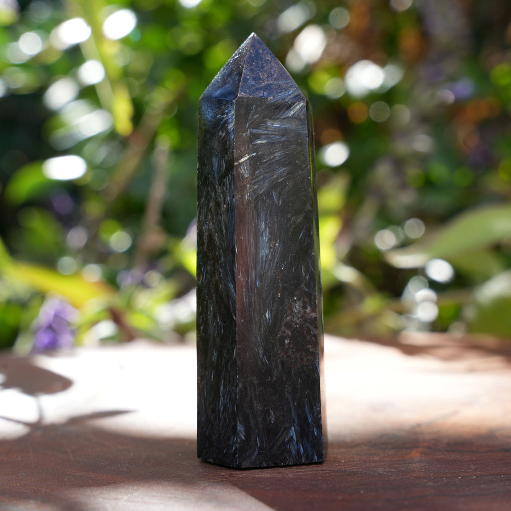 
                  
                    Arfvedsonite Points | Reiki Infused
                  
                