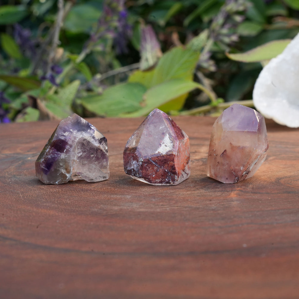 
                  
                    Mini Lots of 3 Dream Coat Lemurian Towers| Reiki Infused
                  
                