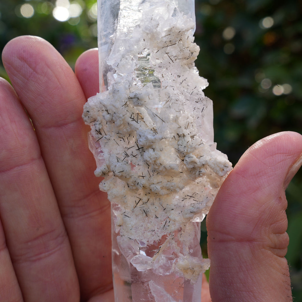 
                  
                    Rare Lemurian, Albite & Black Tourmaline Rutile Wand | Reiki Infused
                  
                