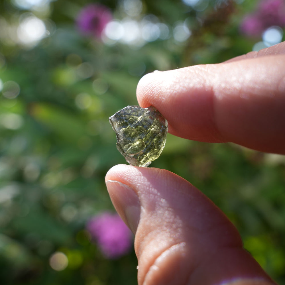 
                  
                    Raw Authentic Moldavite | AAA Grade | Reiki Infused
                  
                