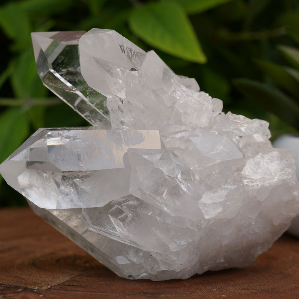 
                  
                    High Grade | Clear Quartz Clusters | Reiki Infused
                  
                