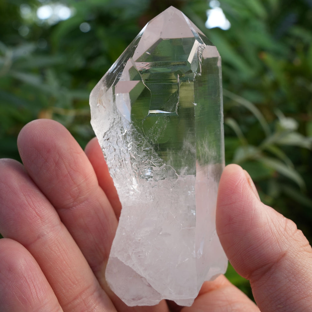 
                  
                    High Grade | Diamantina Quartz Points with Raw Bottom | Reiki Infused
                  
                