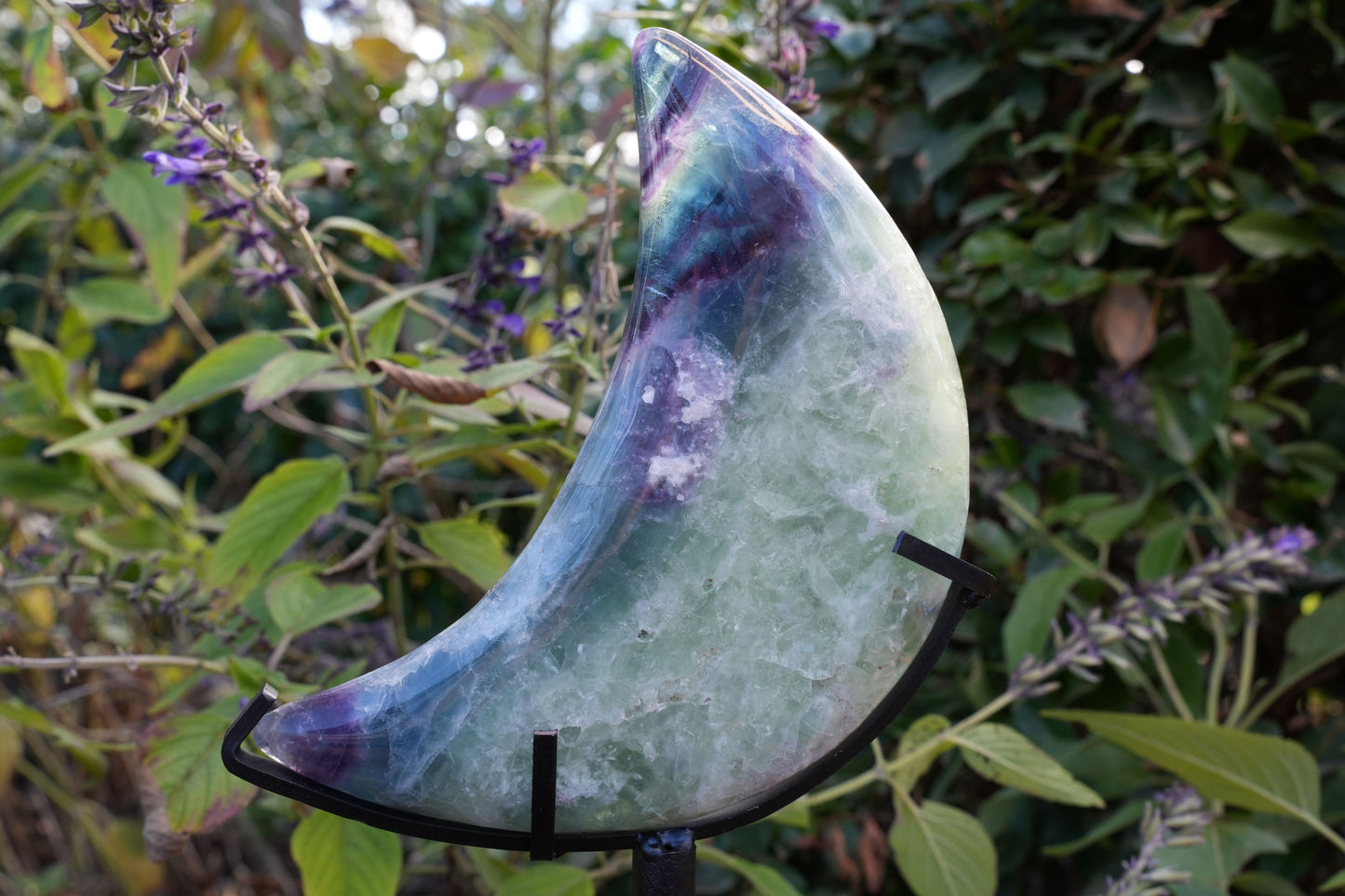 Rainbow Fluorite Moon | On Stand | Reiki Infused