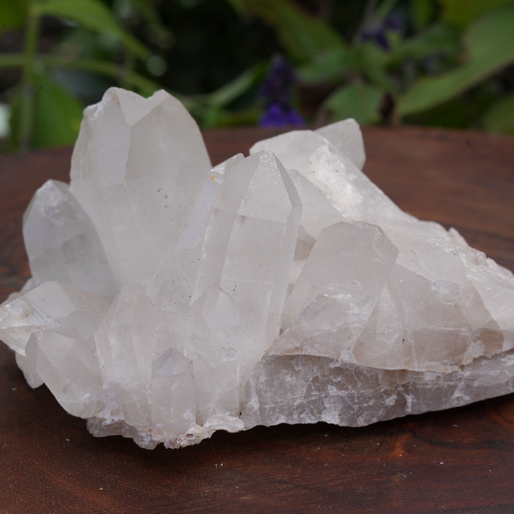 
                  
                    Quarts Clusters | Reiki Infused
                  
                