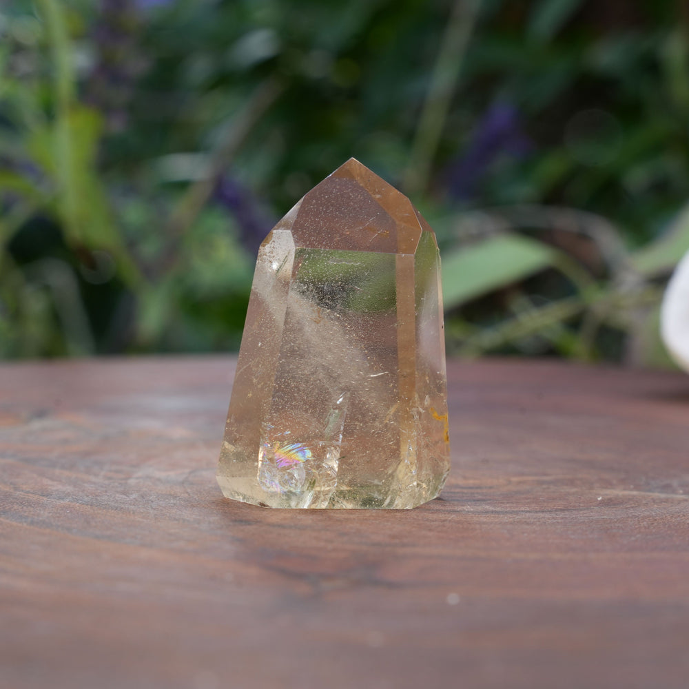 
                  
                    Mini AAA Grade Natural Citrine Towers | Reiki Infused
                  
                