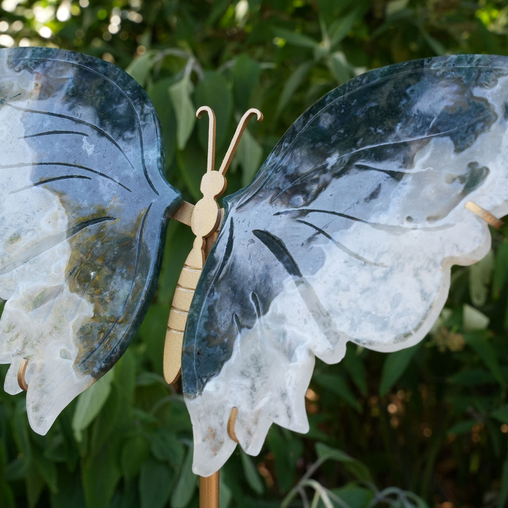 
                  
                    Large Moss Agate Butterfly on Stand | Hand Carved | High Quality | Reiki Infused
                  
                
