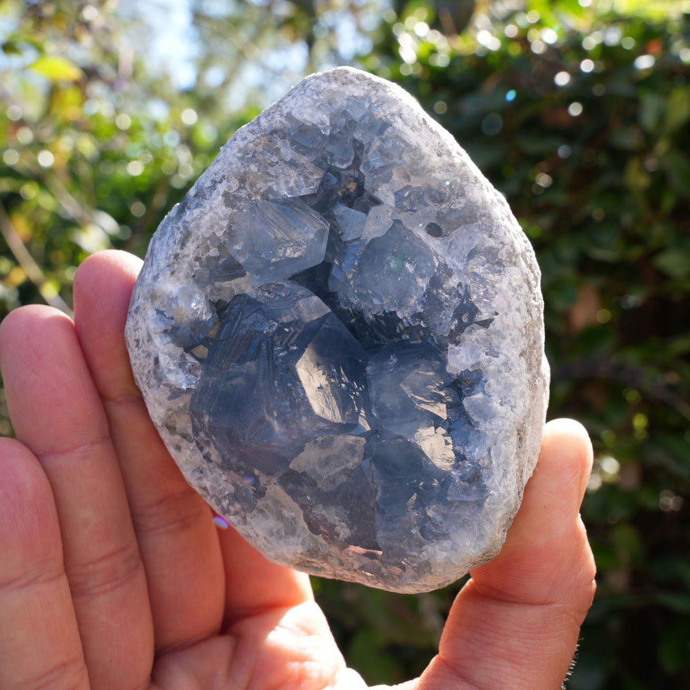 
                  
                    High Quality Celestite Clusters | Reiki Infused
                  
                