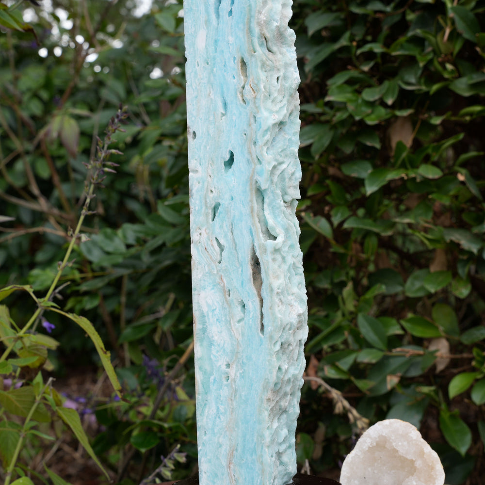 
                  
                    Extra Large Hemimorphite Towers With Raw Edge | On Wooden Stand | Reiki Infused
                  
                