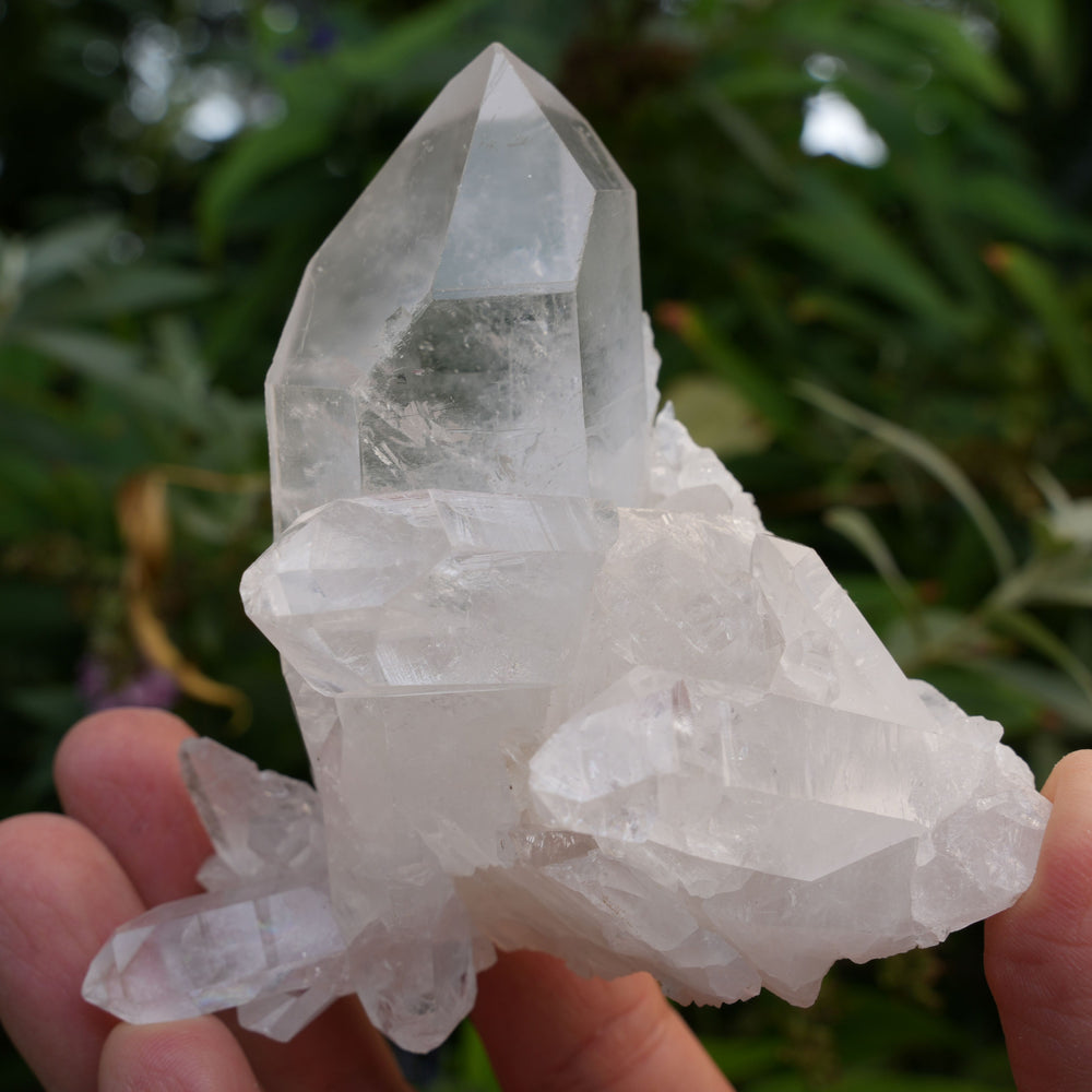 
                  
                    High Grade | Clear Quartz Clusters | Reiki Infused
                  
                