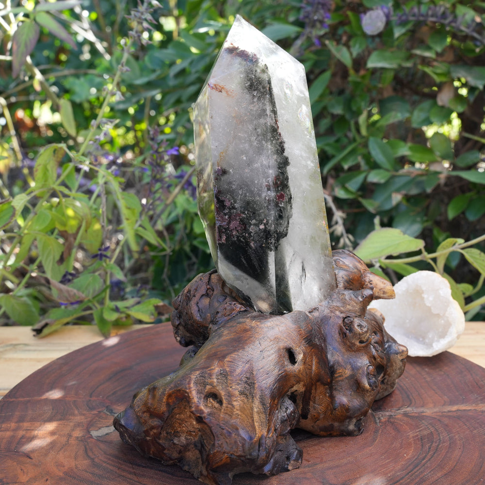 
                  
                    Garden Quartz on Wooden Stand | Reiki Infused
                  
                