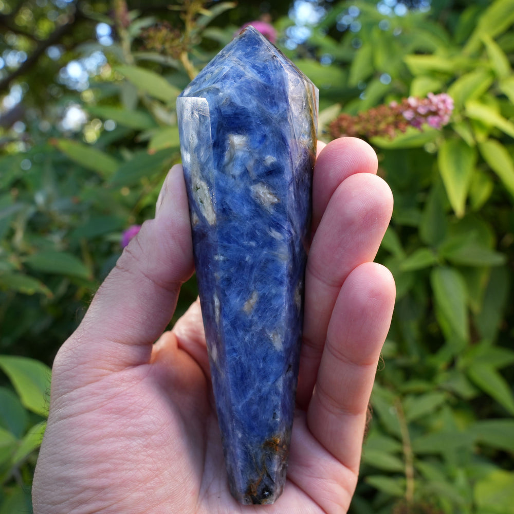 
                  
                    Kyanite Wands | High Grade | Reiki Infused
                  
                