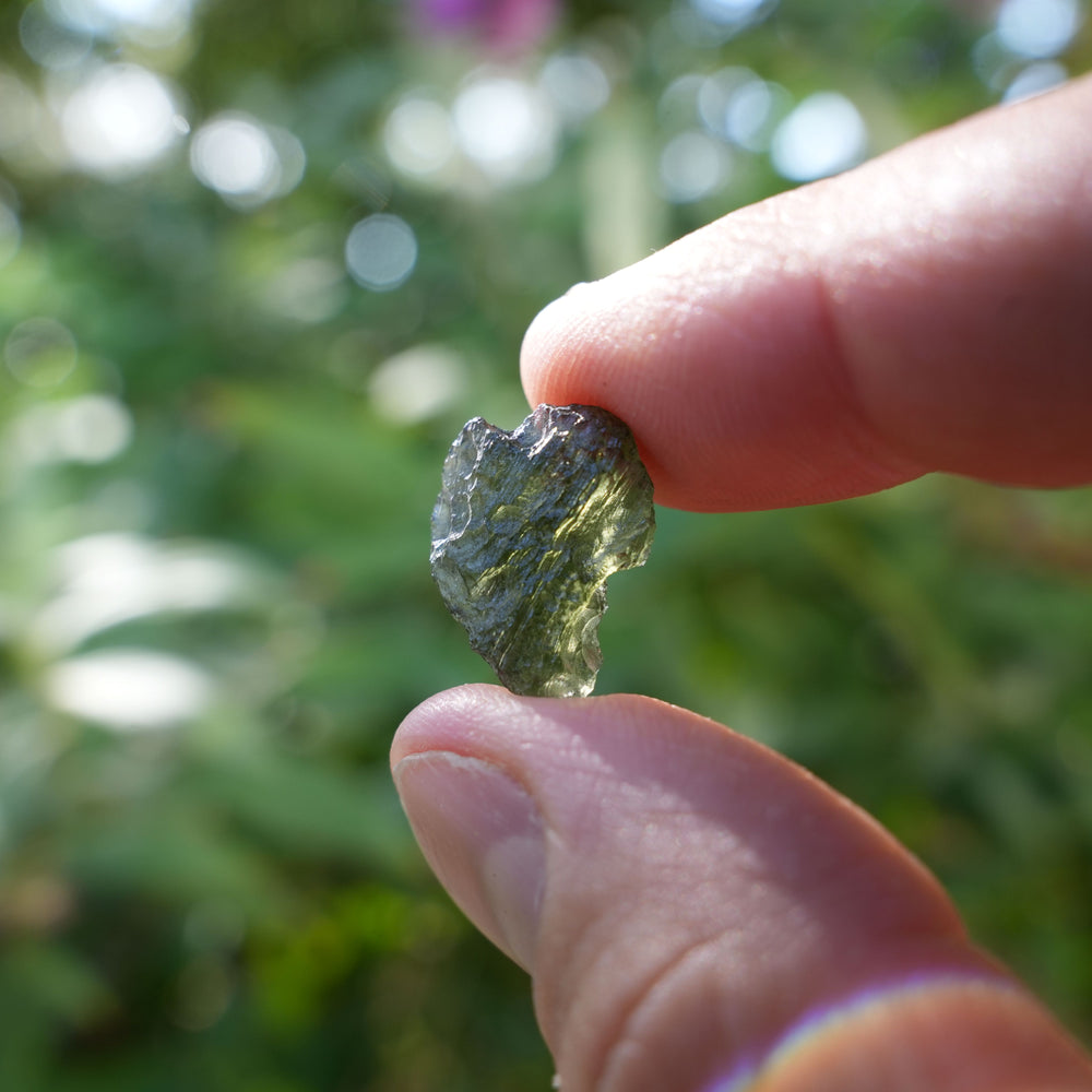 
                  
                    Raw Authentic Moldavite | AAA Grade | Reiki Infused
                  
                