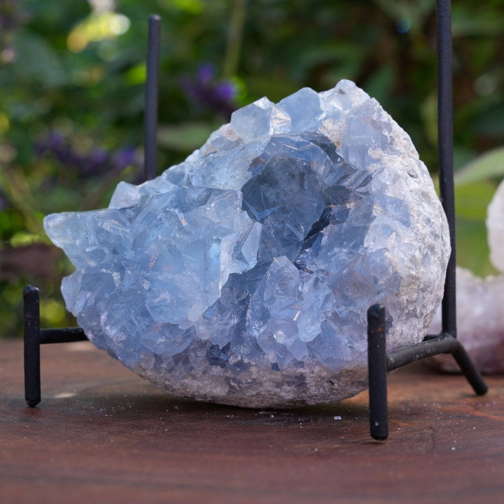 
                  
                    High Quality Celestite Clusters | Reiki Infused
                  
                