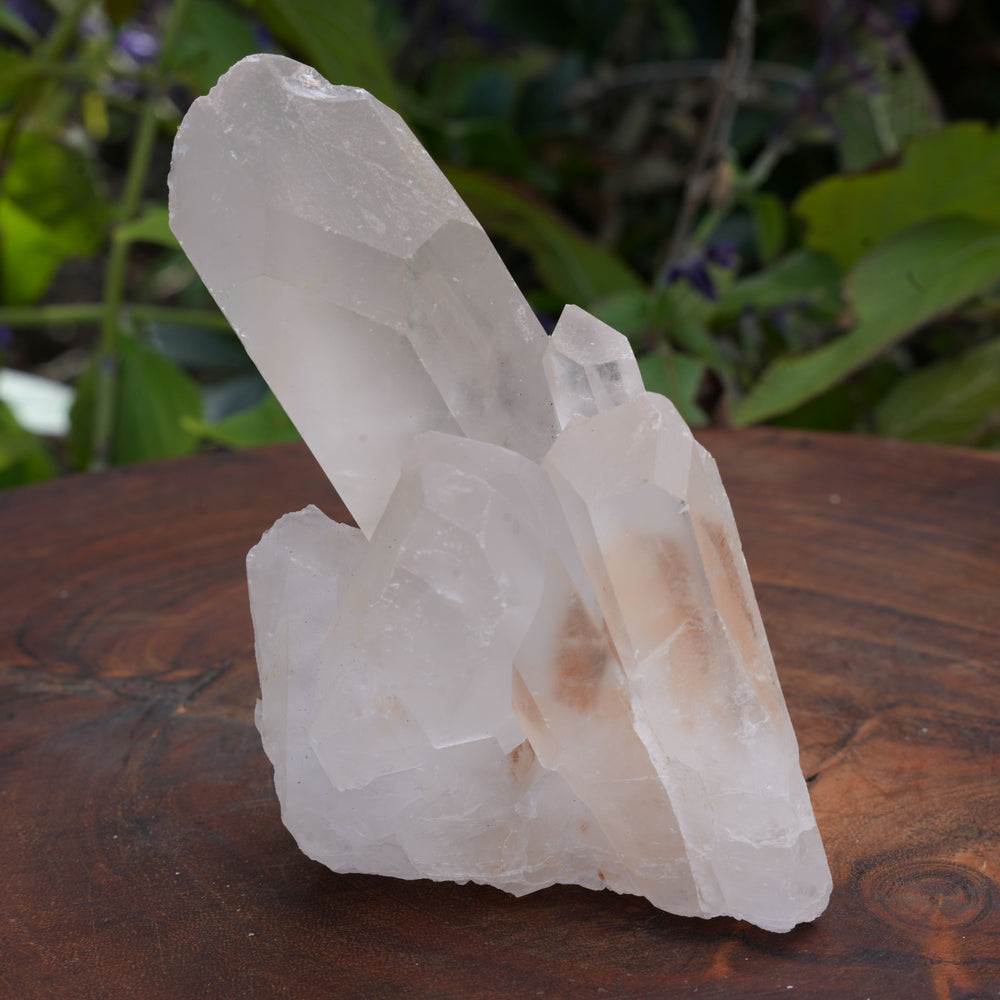 
                  
                    Quarts Clusters | Reiki Infused
                  
                