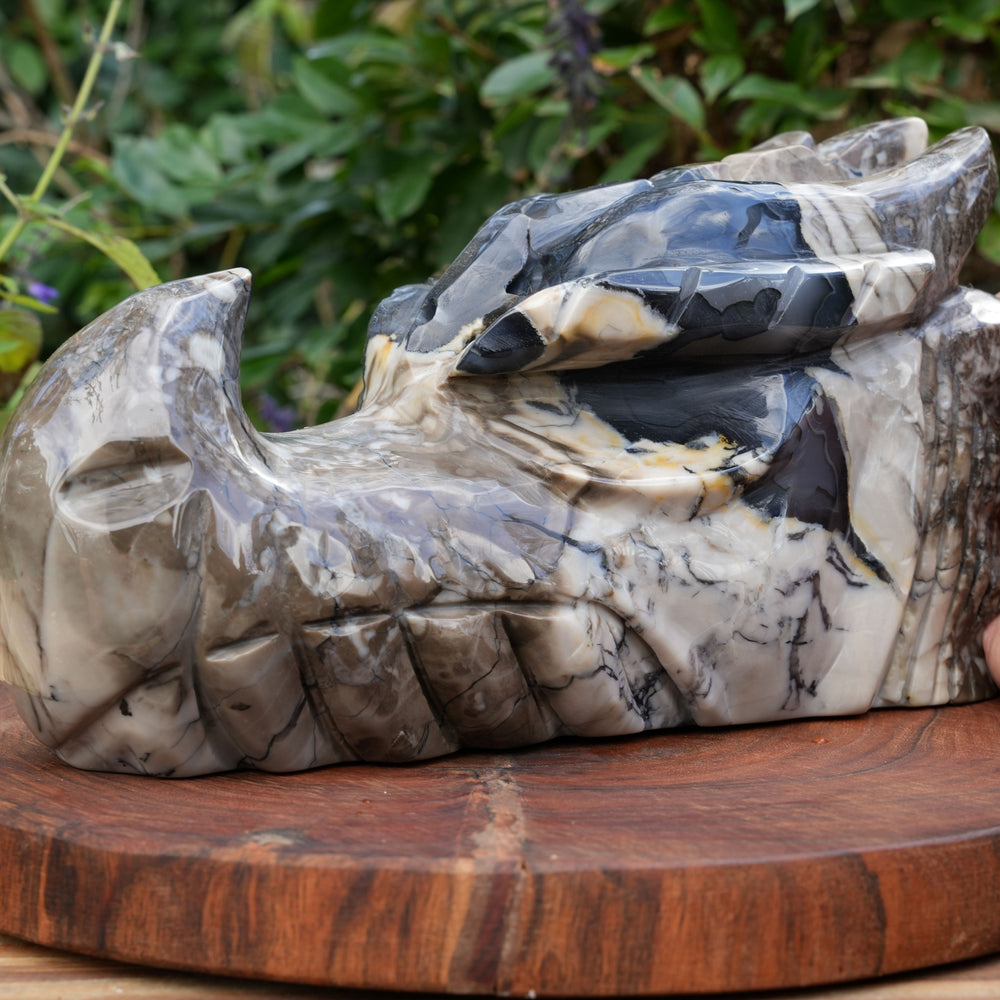 
                  
                    Large UV Reactive Volcanic Agate Dragon Head | Reiki Infused
                  
                