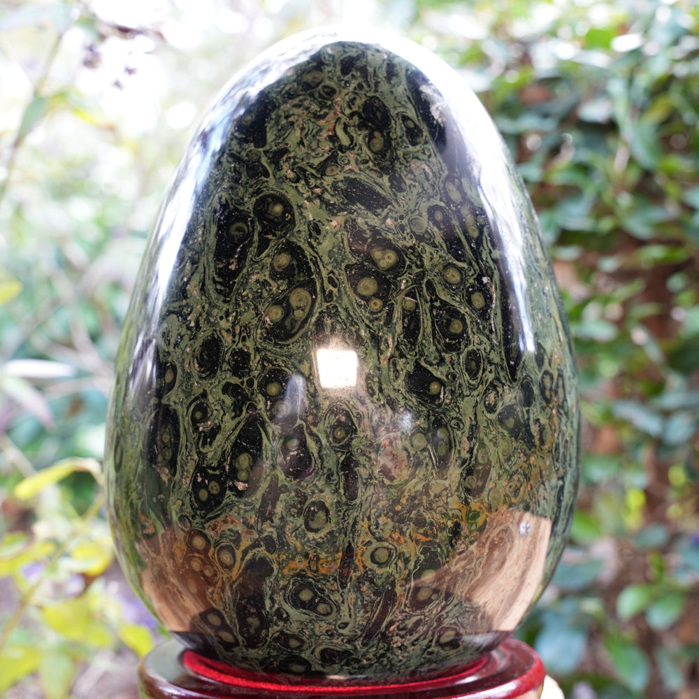 Giant Kambaba Jasper Egg | Reiki Infused