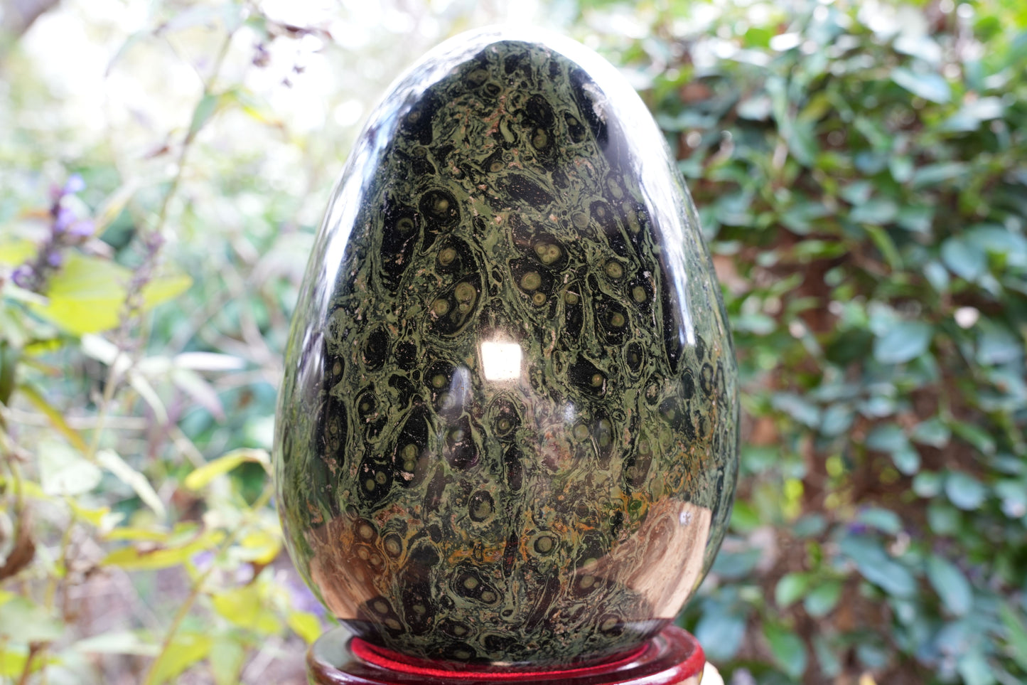 Giant Kambaba Jasper Egg | Reiki Infused