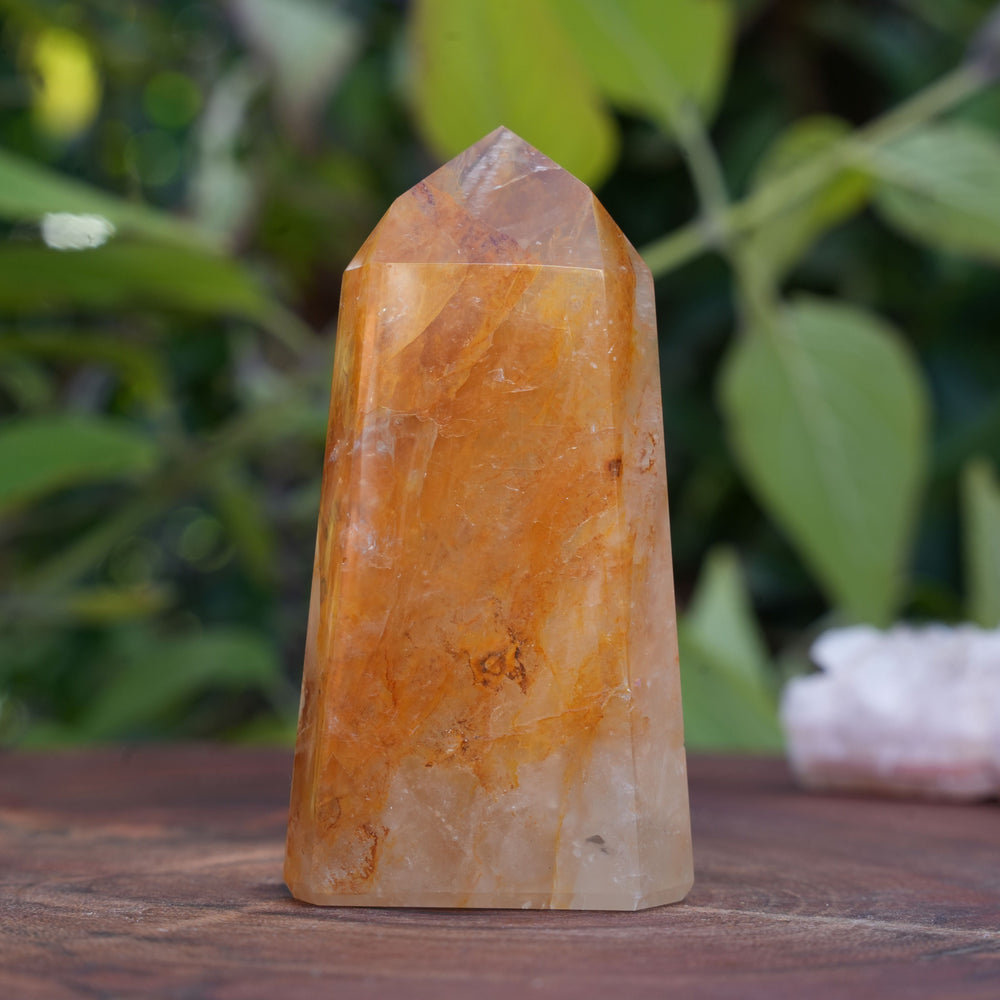 
                  
                    High Grade Golden Healer Points | Reiki Infused
                  
                
