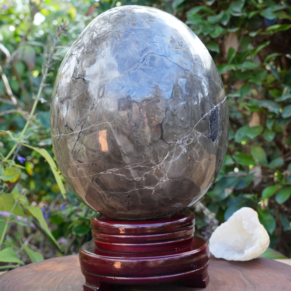 
                  
                    UV Reactive Volcanic Agate Egg on Wooden Stand | Reiki Infused
                  
                