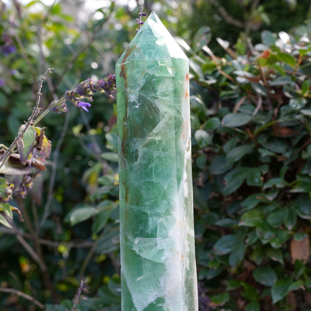 
                  
                    Enormous Ocean Fluorite Tower on Stand | Reiki Infused
                  
                