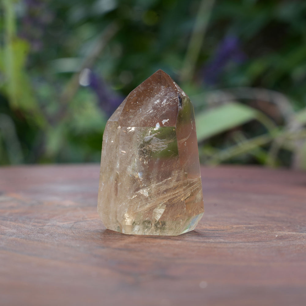 
                  
                    Mini AAA Grade Natural Citrine Towers | Reiki Infused
                  
                