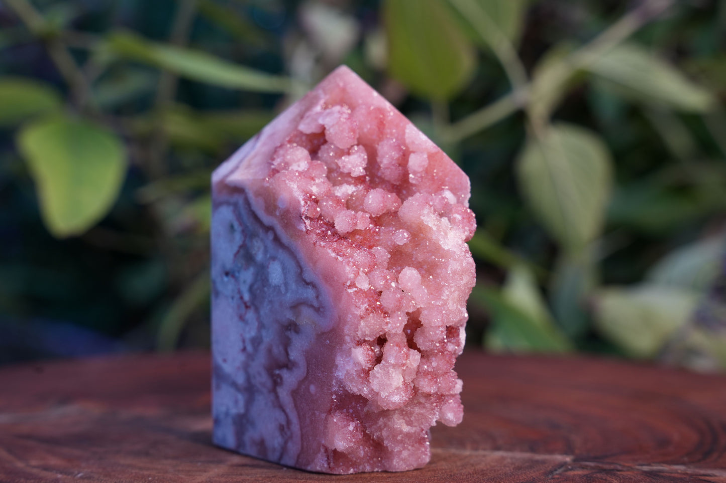 High Grade Sugar Druzy Pink Amethyst Tower | Reiki Infused