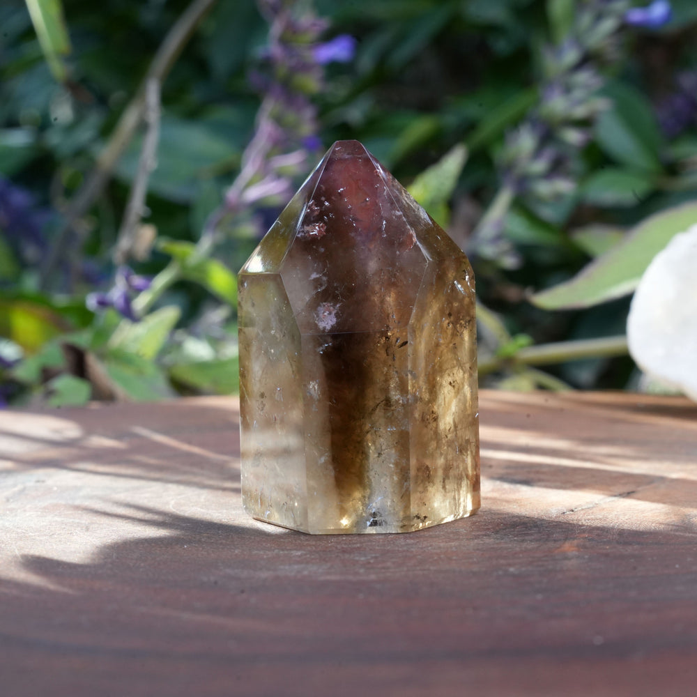 
                  
                    Small Dream Coat Lemurian Freeforms | Reiki Infused
                  
                
