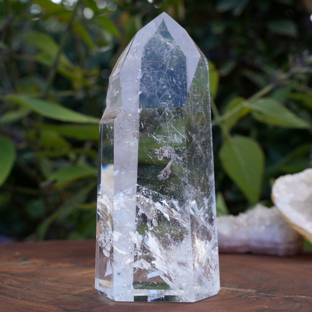
                  
                    AA+ Grade Star Seed Lemurian Towers | Reiki Infused
                  
                